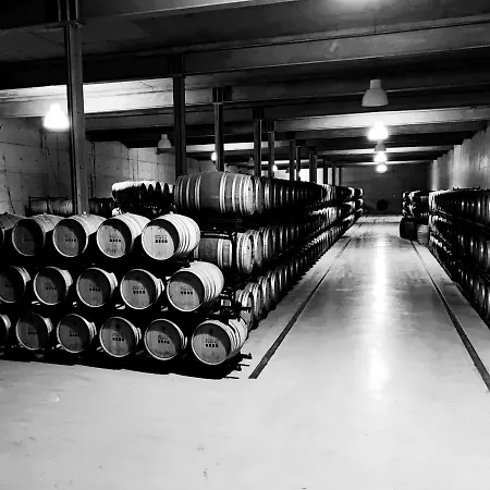 The Manor House Celeiros