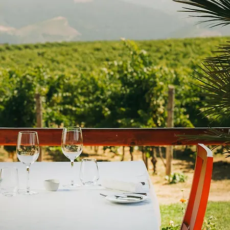 The Manor House Celeirós Sabrosa