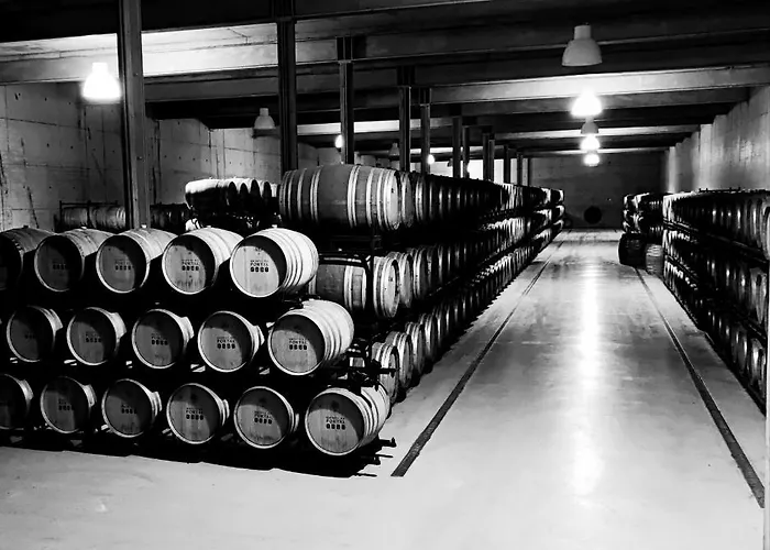 The Manor House Celeiros